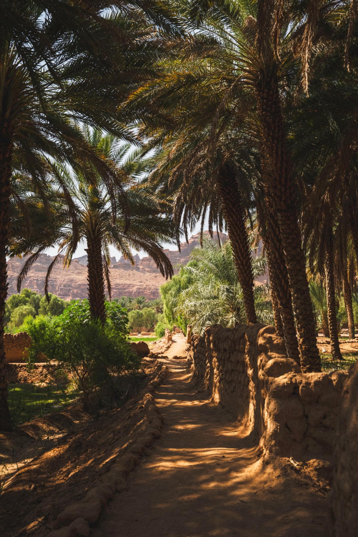 AlUla: Oasis Heritage Trail Tour