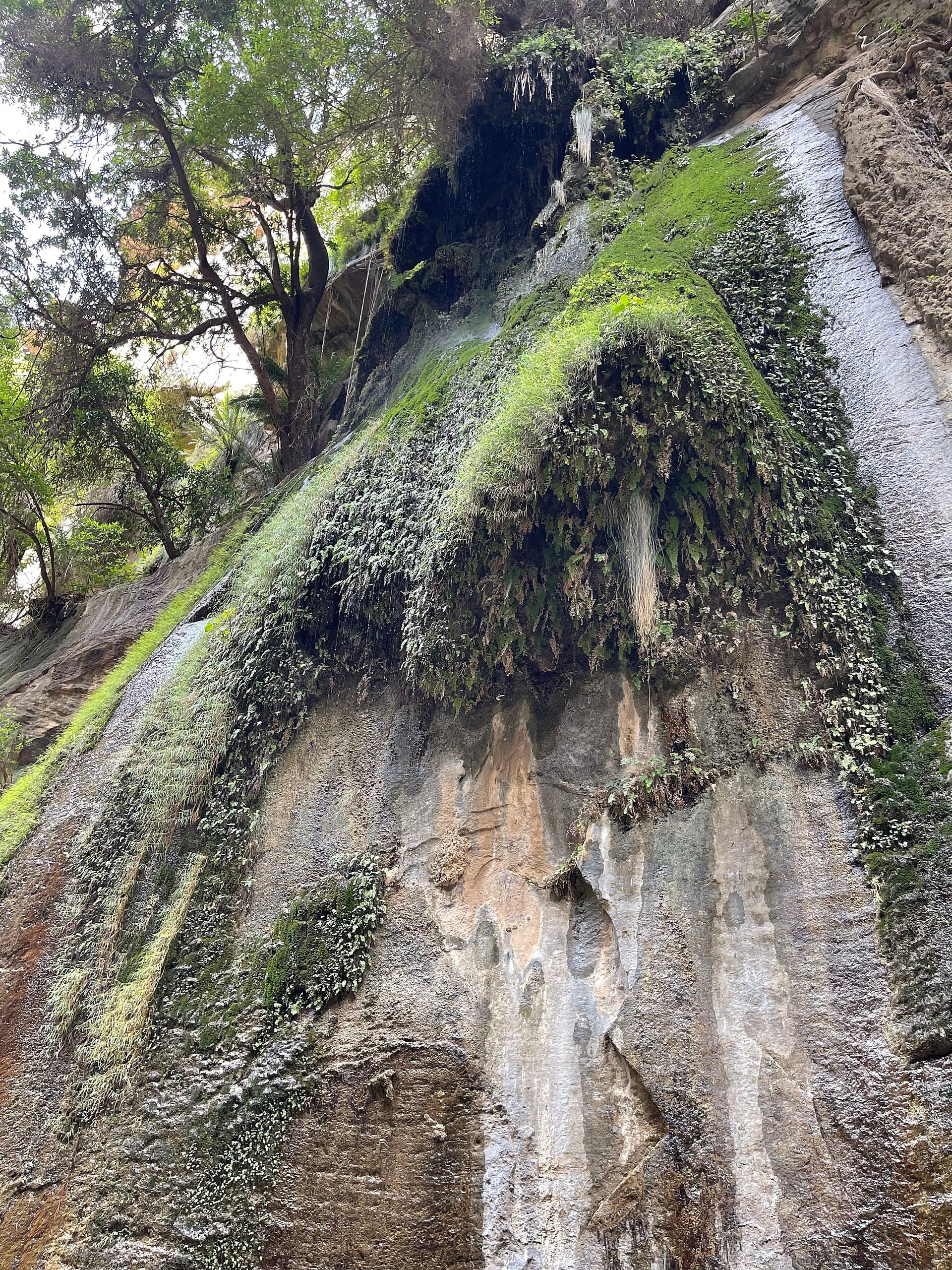 Jazan: Hiking Wadi Lajab for groups