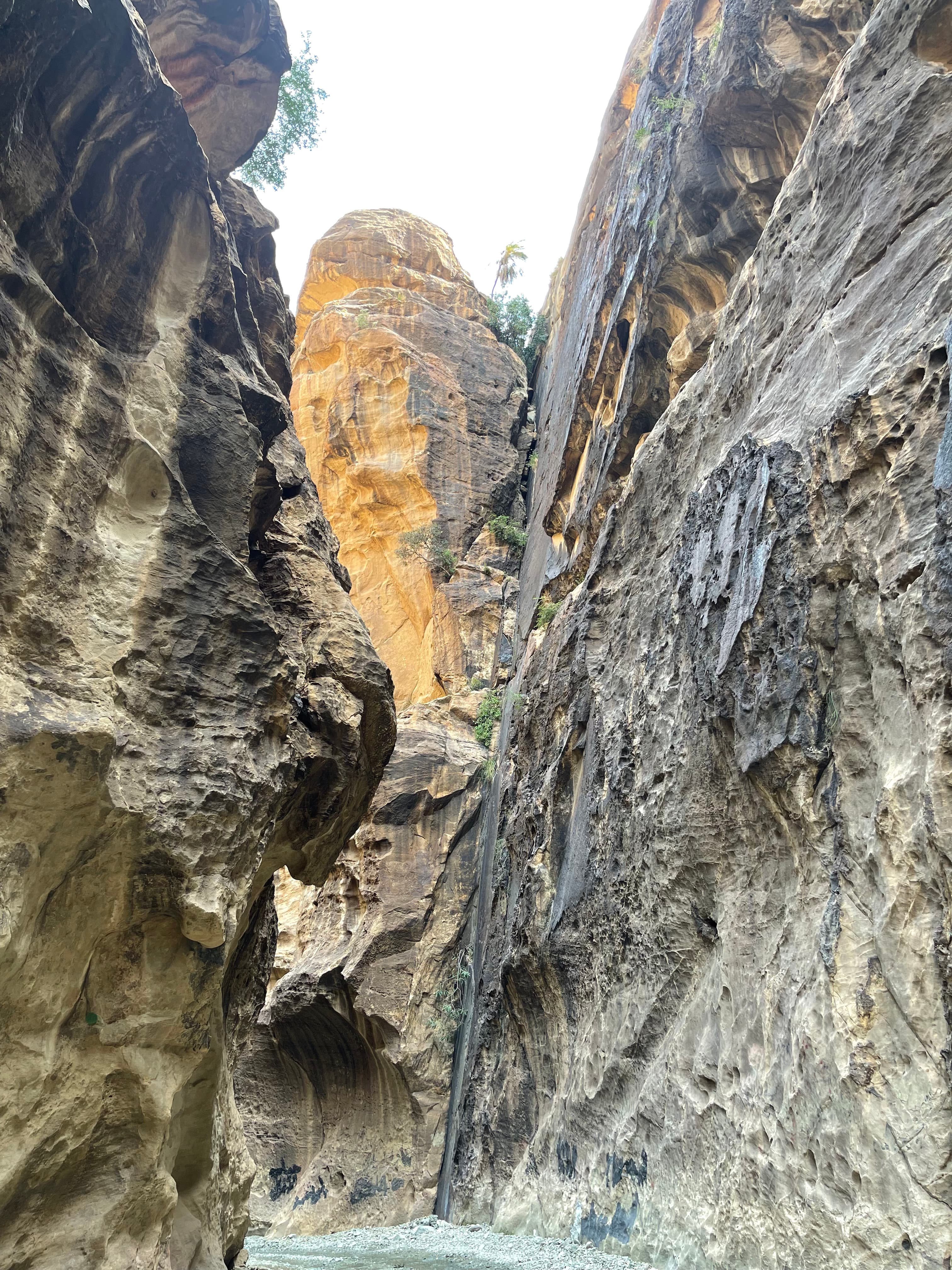Jazan: Hiking Wadi Lajab for groups